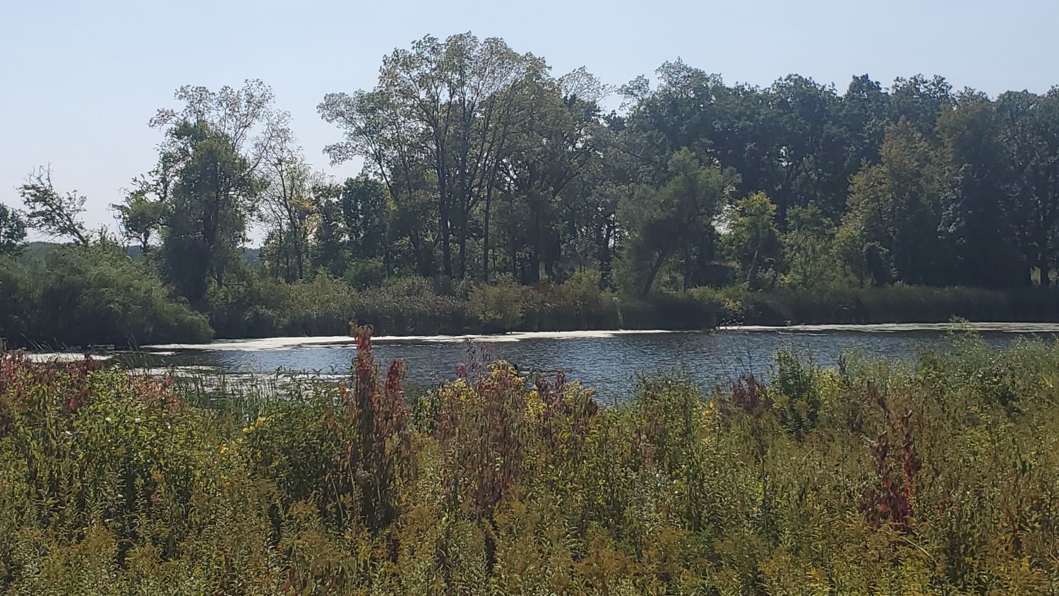 Crab Tree Nature Center 